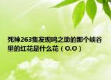 死神263集發(fā)現(xiàn)鳴之助的那個峽谷里的紅花是什么花（O.O）