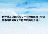 野火燒不盡春風吹又生的理解意思（野火燒不盡春風吹又生的意思簡介介紹）