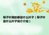 粽子葉用的都是什么葉子（粽子葉是什么葉子簡(jiǎn)介介紹）