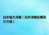 白水縣大洋鎮(zhèn)（白水洋鎮(zhèn)在哪簡介介紹）