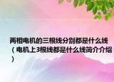 兩相電機的三根線分別都是什么線（電機上3根線都是什么線簡介介紹）