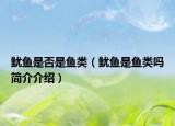 魷魚(yú)是否是魚(yú)類(lèi)（魷魚(yú)是魚(yú)類(lèi)嗎簡(jiǎn)介介紹）