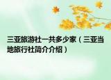 三亞旅游社一共多少家（三亞當(dāng)?shù)芈眯猩绾喗榻榻B）