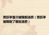 賈躍亭首次被限制消費（賈躍亭被限制了哪些消費）