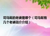 司馬懿的老婆是哪個（司馬懿有幾個老婆簡介介紹）