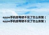 oppo手機(jī)撥號(hào)鍵不見了怎么恢復(fù)（oppo手機(jī)撥號(hào)鍵不見了怎么恢復(fù)）