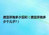 唐宣宗有多少后妃（唐宣宗有多少個(gè)兒子?）