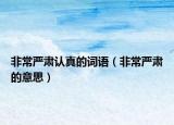 非常嚴(yán)肅認(rèn)真的詞語(yǔ)（非常嚴(yán)肅的意思）