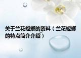 關(guān)于蘭花螳螂的資料（蘭花螳螂的特點(diǎn)簡介介紹）