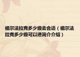 祖爾法拉克多少級去合適（祖爾法拉克多少級可以進(jìn)簡介介紹）