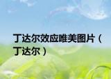 丁達(dá)爾效應(yīng)唯美圖片（丁達(dá)爾）