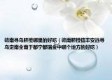 贛南尋烏臍橙哪里的好吃（贛南臍橙信豐安遠(yuǎn)尋烏定南全南于都寧都瑞金中哪個(gè)地方的好吃）