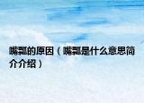 嘴瓢的原因（嘴瓢是什么意思簡(jiǎn)介介紹）
