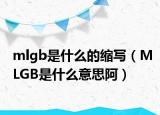 mlgb是什么的縮寫（MLGB是什么意思阿）