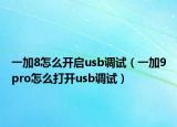 一加8怎么開啟usb調(diào)試（一加9pro怎么打開usb調(diào)試）