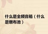 什么是全頻音箱（什么是墩布池）