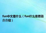 fun中文是什么（fun什么意思簡(jiǎn)介介紹）