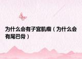 為什么會有子宮肌瘤（為什么會有尾巴骨）