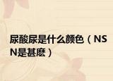 尿酸尿是什么顏色（NSN是甚麼）