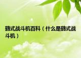 鷂式戰(zhàn)斗機(jī)百科（什么是鷂式戰(zhàn)斗機(jī)）
