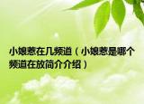 小娘惹在幾頻道（小娘惹是哪個頻道在放簡介介紹）