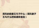 莫科的前妻王凡干什么（莫科妻子王凡什么時(shí)候遺體告別）