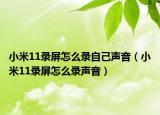小米11錄屏怎么錄自己聲音（小米11錄屏怎么錄聲音）