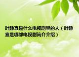 葉靜宜是什么電視劇里的人（葉靜宜是哪部電視劇簡介介紹）