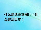 什么是活頁本圖片（什么是活頁本）