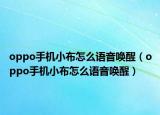 oppo手機小布怎么語音喚醒（oppo手機小布怎么語音喚醒）