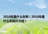 2010年是什么年啊（2010年是什么年簡介介紹）