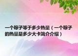一個(gè)粽子等于多少熱量（一個(gè)粽子的熱量是多少大卡簡介介紹）