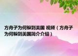 方舟子為何躲到美國 視頻（方舟子為何躲到美國簡介介紹）