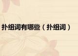 撲組詞有哪些（撲組詞）