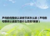 聲母韻母整體認(rèn)讀音節(jié)該怎么讀（聲母韻母整體認(rèn)讀音節(jié)是什么意思?謝謝）