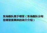 東海艦隊屬于哪里（東海艦隊分布在哪里要具體的簡介介紹）