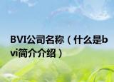 BVI公司名稱(chēng)（什么是bvi簡(jiǎn)介介紹）
