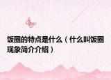 飯圈的特點(diǎn)是什么（什么叫飯圈現(xiàn)象簡介介紹）