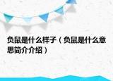 負(fù)鼠是什么樣子（負(fù)鼠是什么意思簡介介紹）