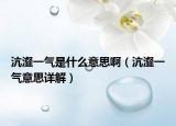 沆瀣一氣是什么意思?。ㄣ戾粴庖馑荚斀猓? /></span></a>
                        <h2><a href=