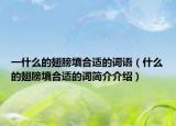 一什么的翅膀填合適的詞語（什么的翅膀填合適的詞簡介介紹）