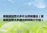愛我就別想太多什么時候播出（愛我就別想太多播出時間簡介介紹）