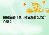 豬豬寶是什么（豬寶是什么簡介介紹）