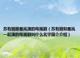 蘇有朋跟秦嵐演的電視劇（蘇有朋和秦嵐一起演的電視劇叫什么名字簡介介紹）
