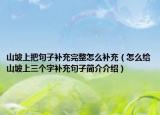 山坡上把句子補充完整怎么補充（怎么給山坡上三個字補充句子簡介介紹）