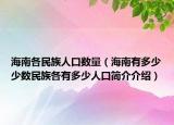 海南各民族人口數(shù)量（海南有多少少數(shù)民族各有多少人口簡介介紹）