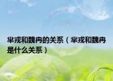羋戎和魏冉的關(guān)系（羋戎和魏冉是什么關(guān)系）