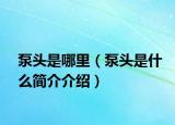 泵頭是哪里（泵頭是什么簡介介紹）