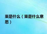 糶是什么（糶是什么意思）