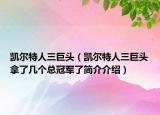 凱爾特人三巨頭（凱爾特人三巨頭拿了幾個總冠軍了簡介介紹）